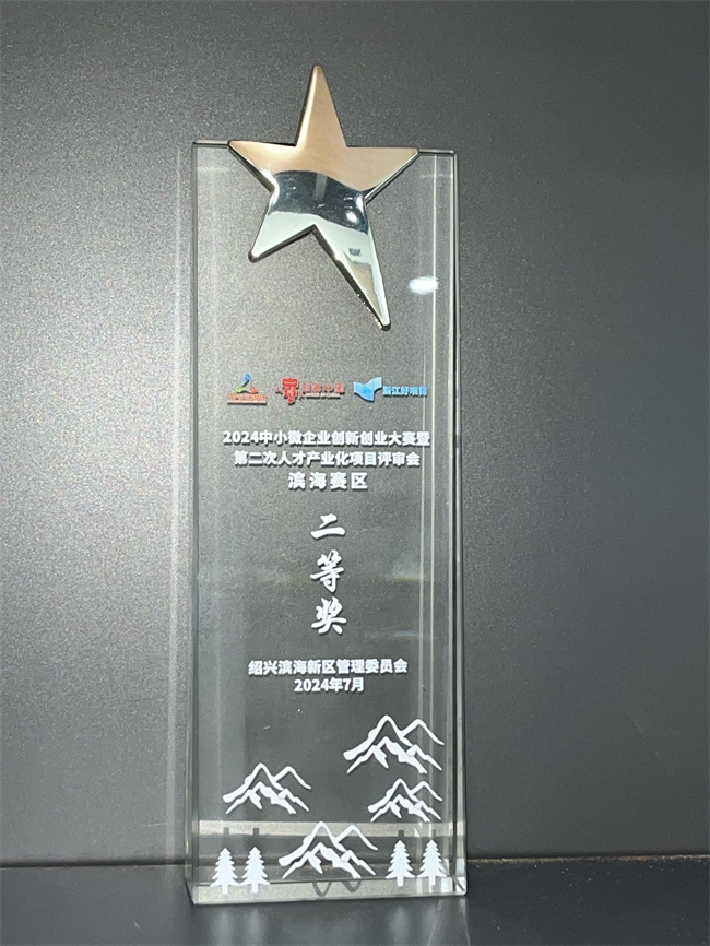 2024中小微企業(yè)創(chuàng)新創(chuàng)業(yè)大賽暨第二次人產(chǎn)產(chǎn)業(yè)化項(xiàng)目評(píng)審會(huì)濱海賽區(qū)二等獎(jiǎng) - 副本.jpg
