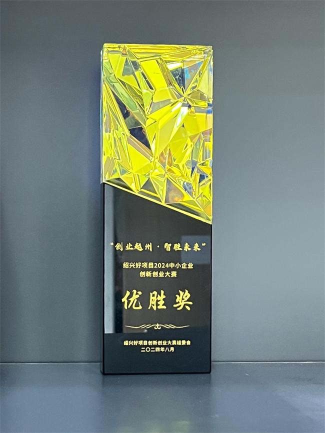 紹興好項(xiàng)目2024中小企業(yè)創(chuàng)新創(chuàng)業(yè)大賽優(yōu)勝獎(jiǎng) - 副本.jpg